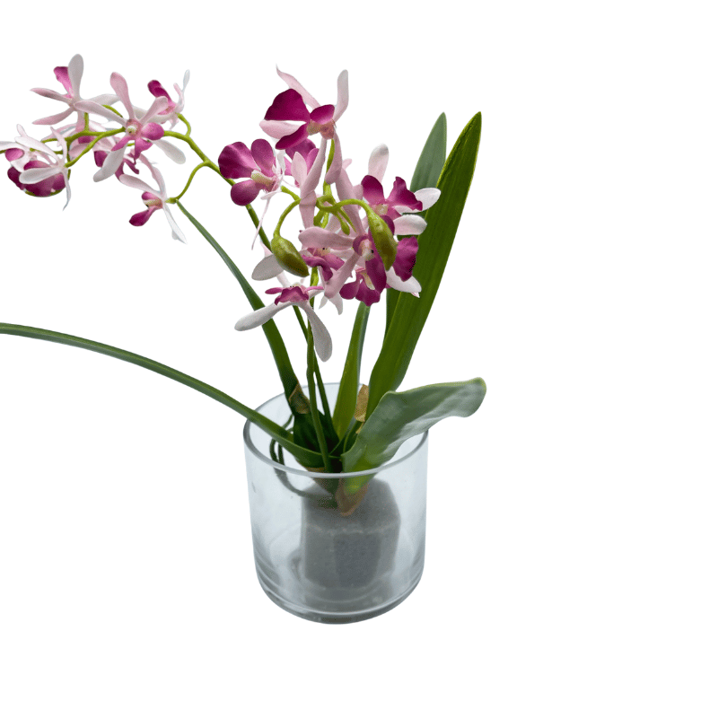 Potted potted