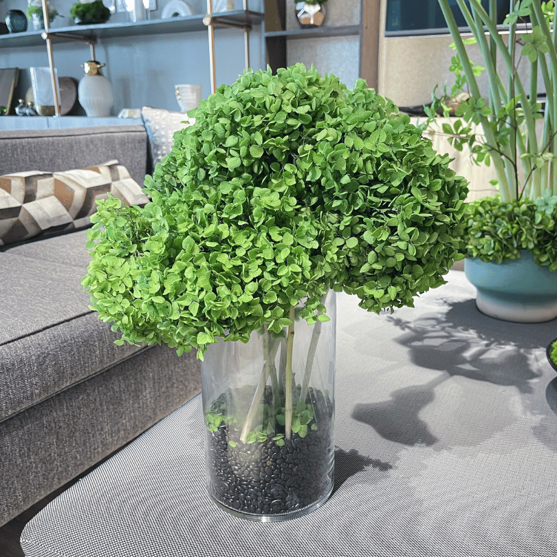 Green potted