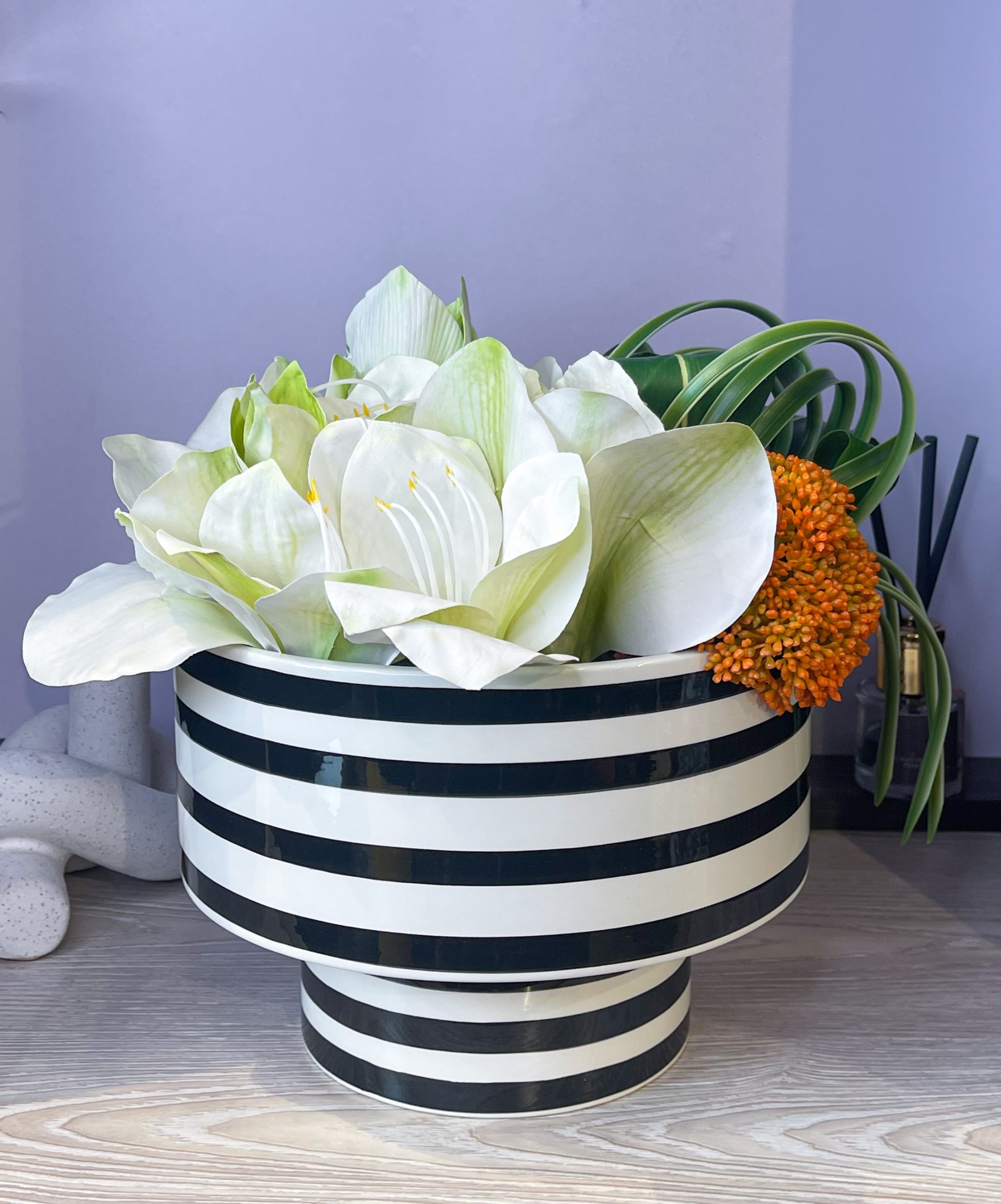 Potted Plant