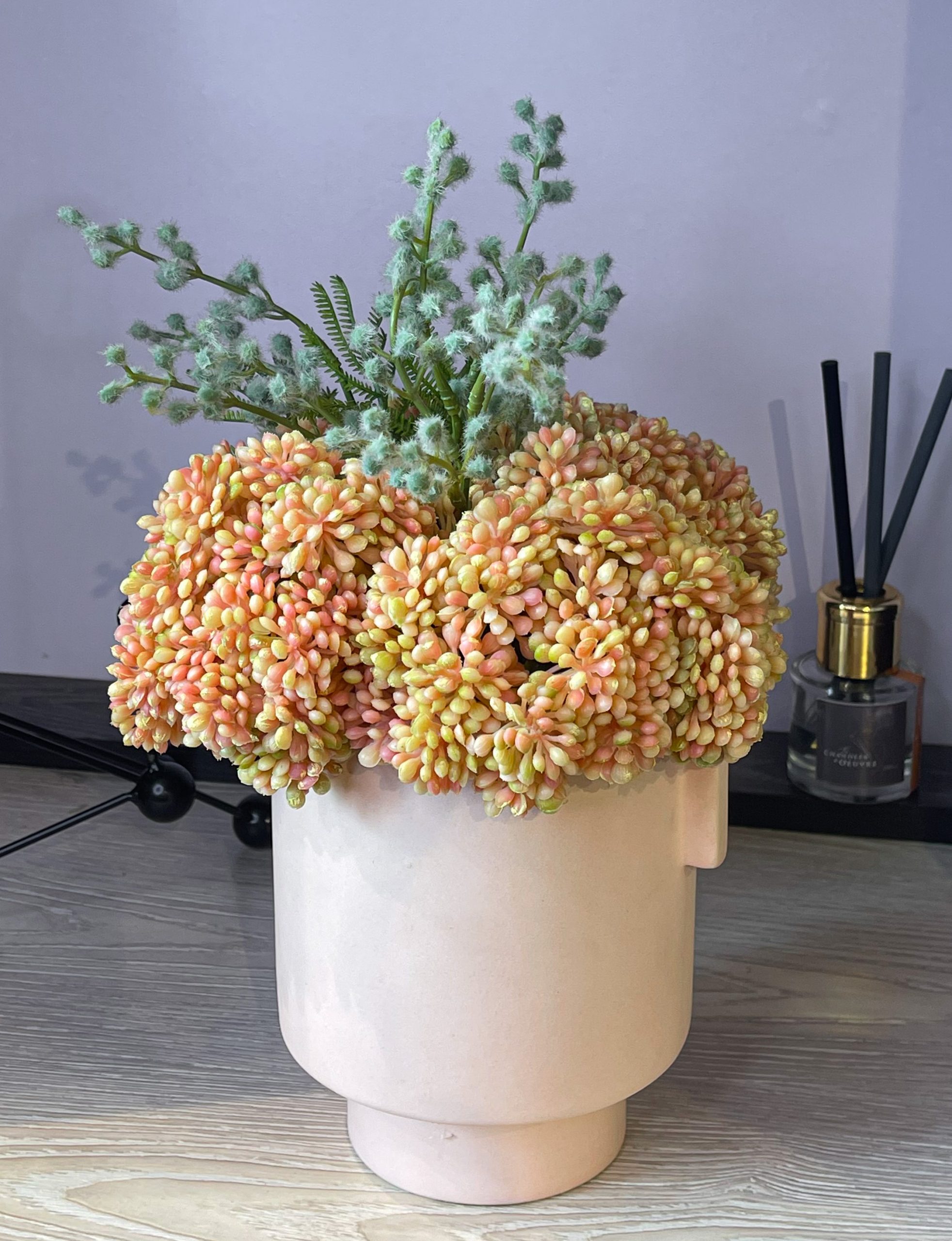 Potted Plant